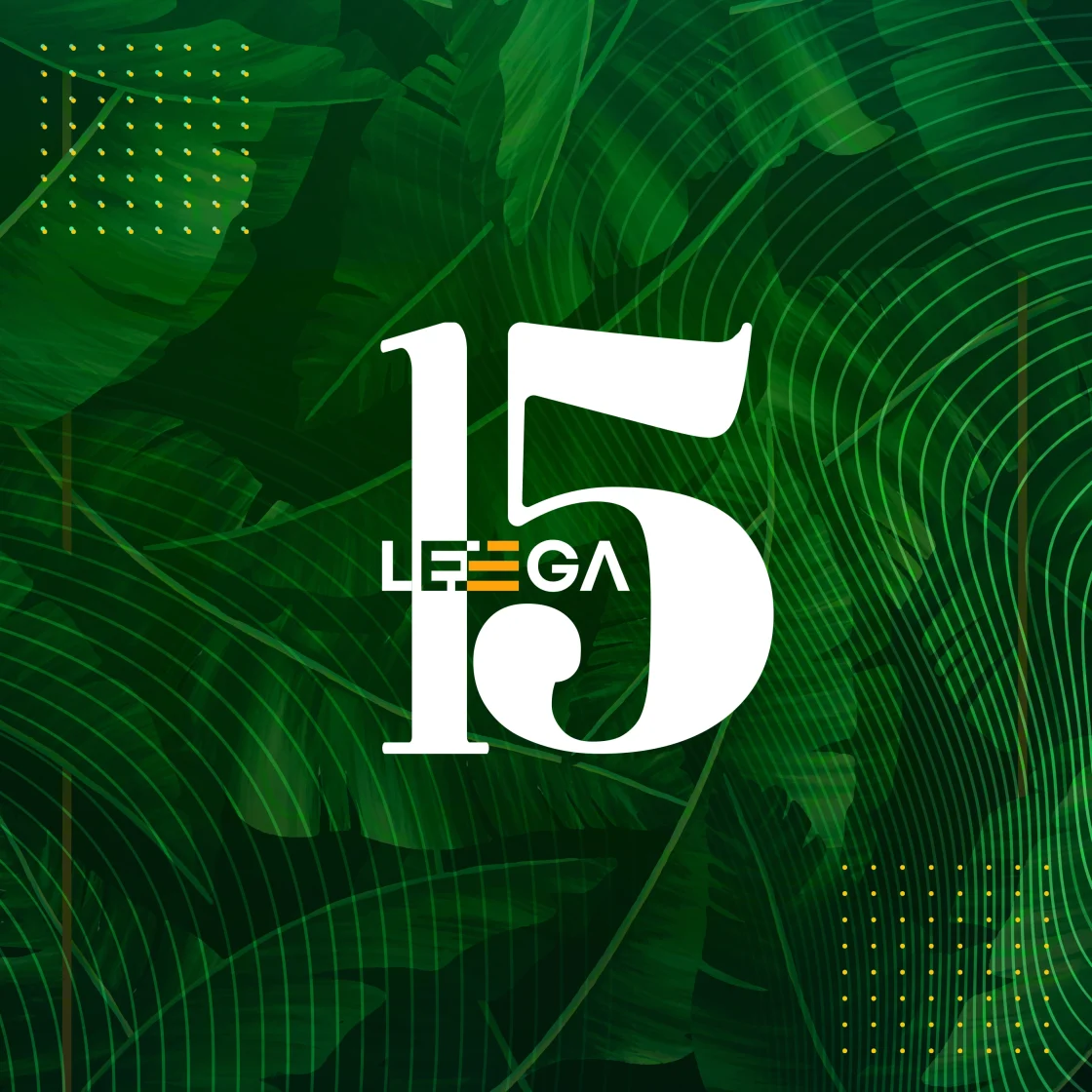 Festa 15 anos Leega